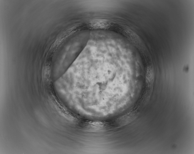 X0000115480409200912040957