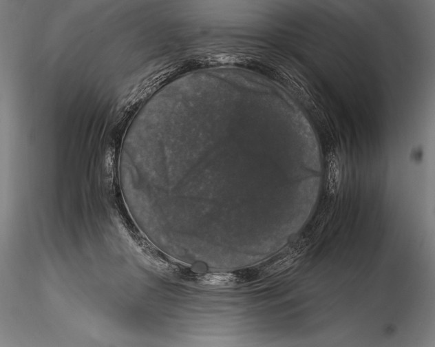 X0000115480410200912040957