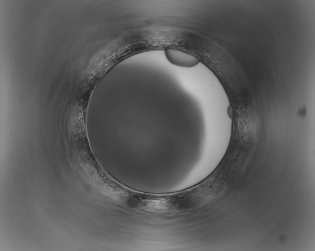 X0000115480411200912040957