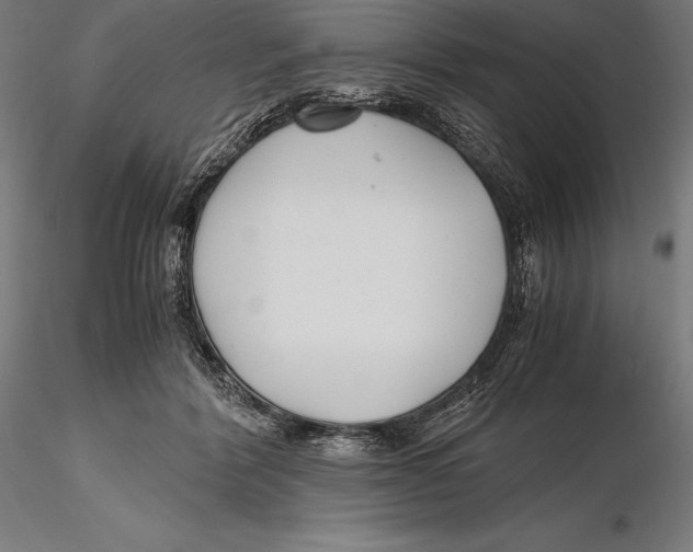 X0000115480412200912040957