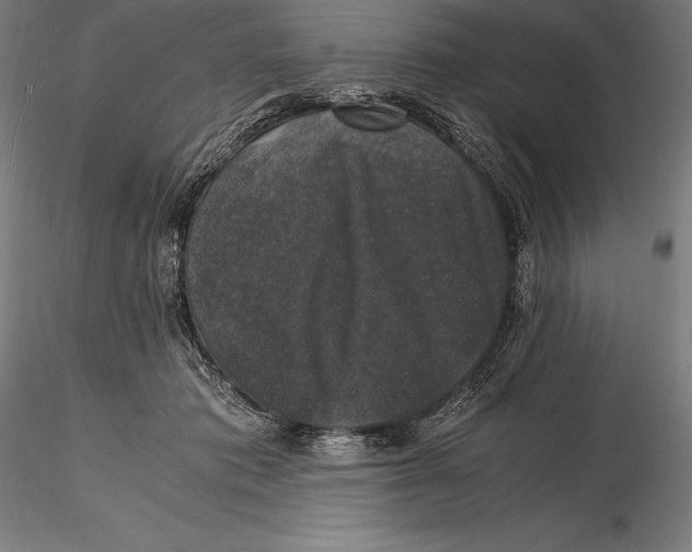 X0000115480413200912040957