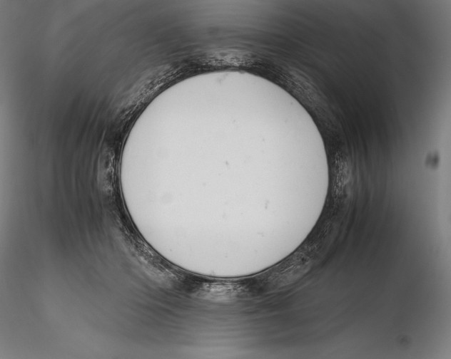 X0000115480414200912040957