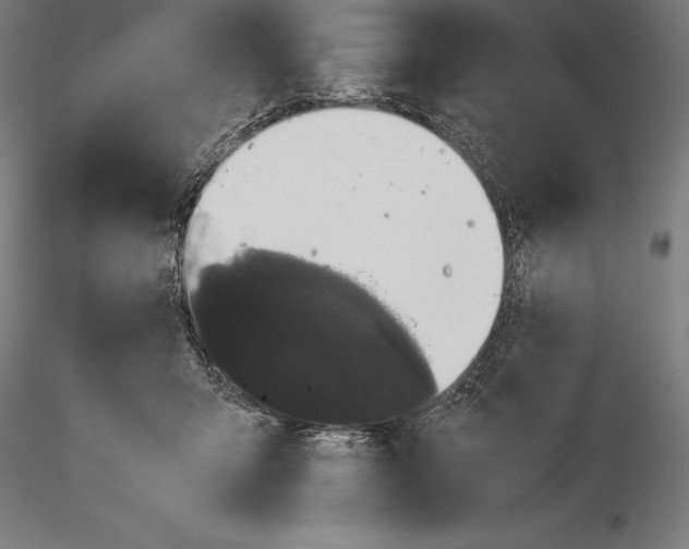 X0000115480415200912040957