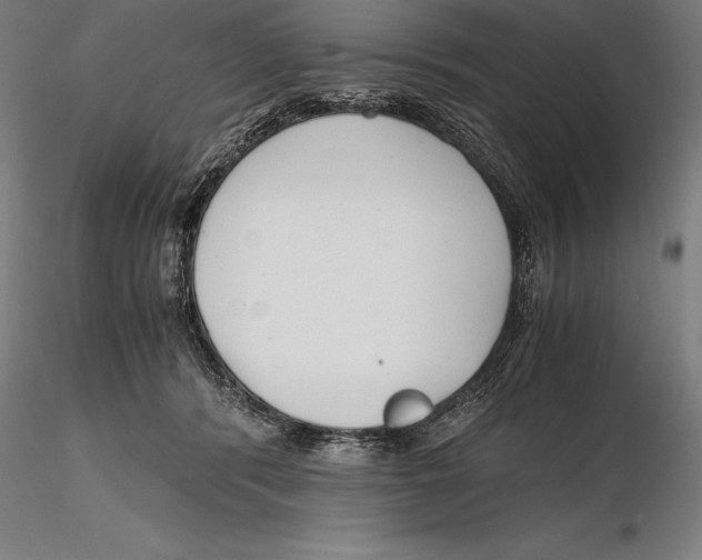 X0000115480416200912040957