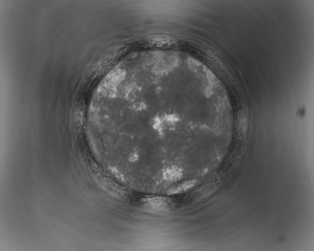 X0000115480417200912040957