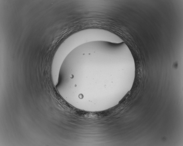 X0000115480419200912040957