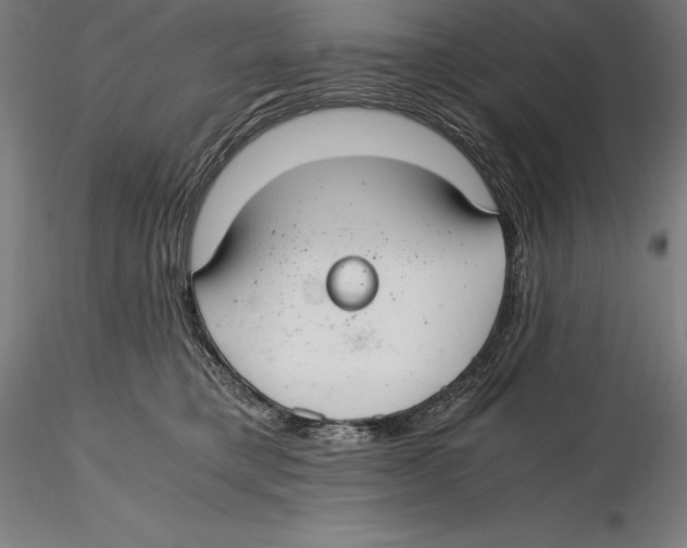 X0000115480421200912040957
