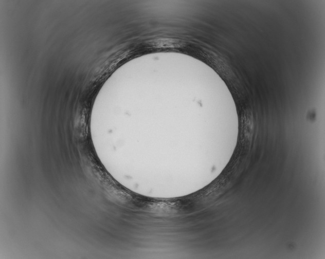 X0000115480422200912040957