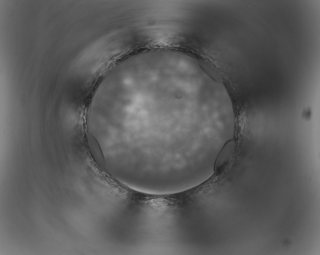 X0000115480423200912040957