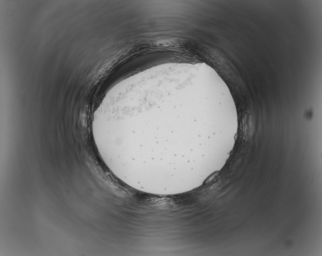 X0000115480424200912040957