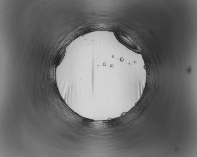 X0000115480425200912040957