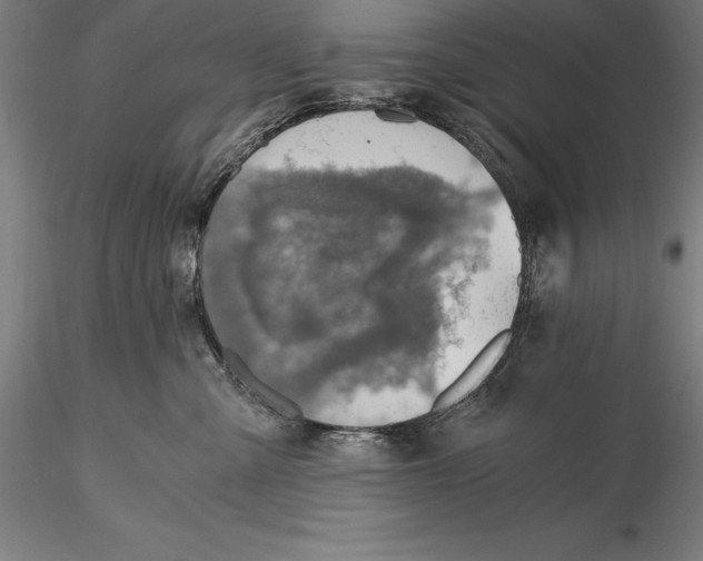 X0000115480427200912040957