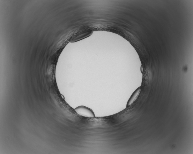 X0000115480428200912040957