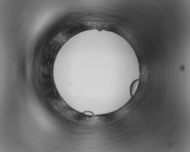 X0000115480430200912040957