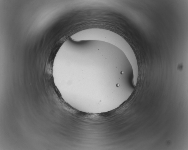 X0000115480431200912040957