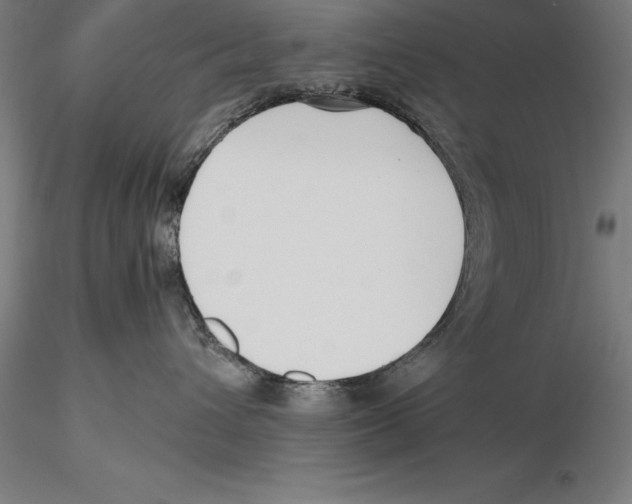 X0000115480432200912040957