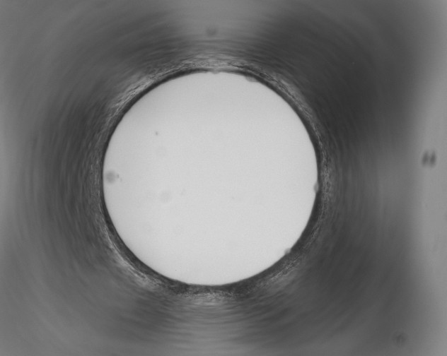 X0000115480433200912040956