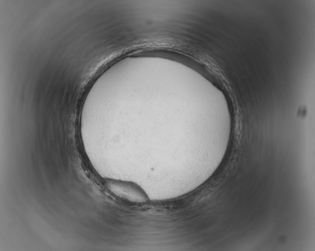 X0000115480434200912040956