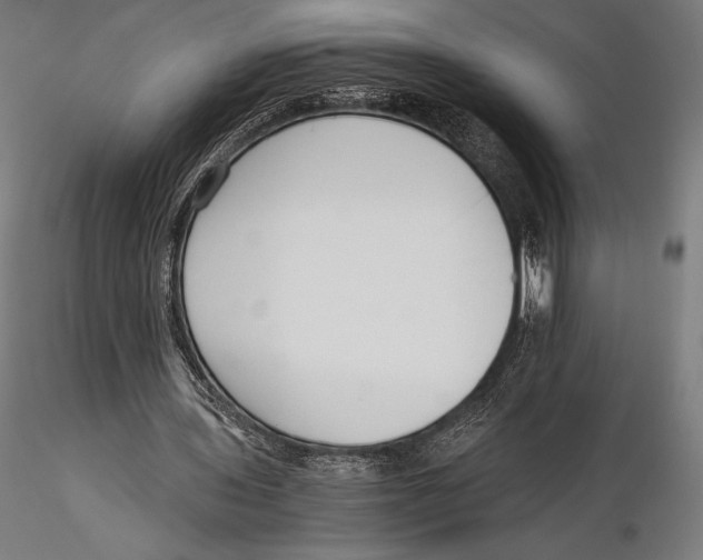 X0000115480435200912040956