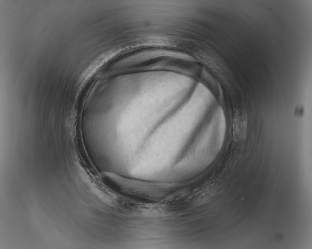 X0000115480436200912040956