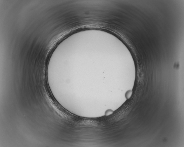 X0000115480437200912040956