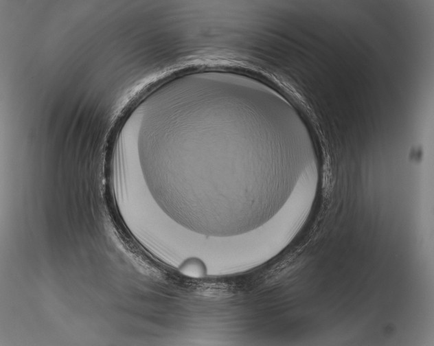 X0000115480438200912040956