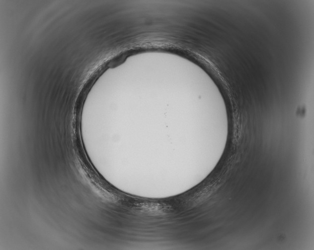 X0000115480439200912040956
