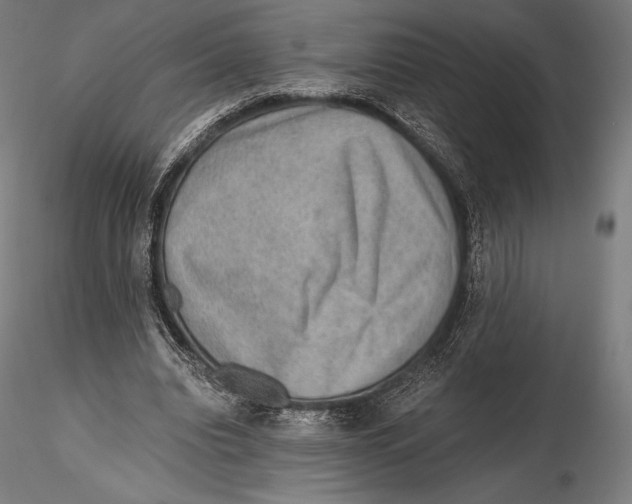 X0000115480440200912040956