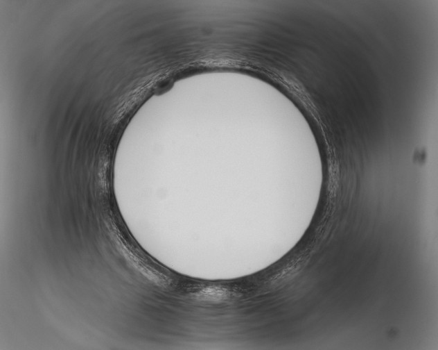 X0000115480441200912040956