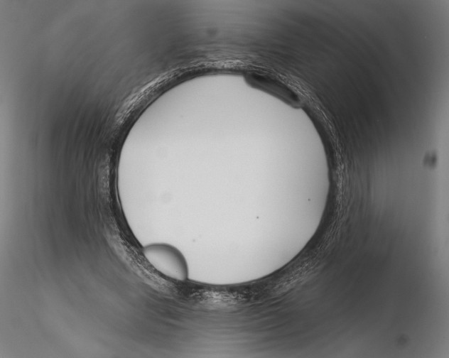 X0000115480442200912040956