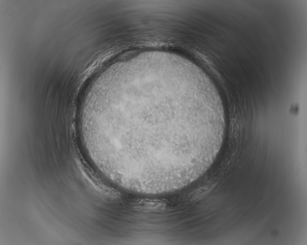 X0000115480443200912040956