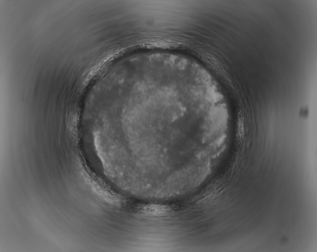 X0000115480444200912040956