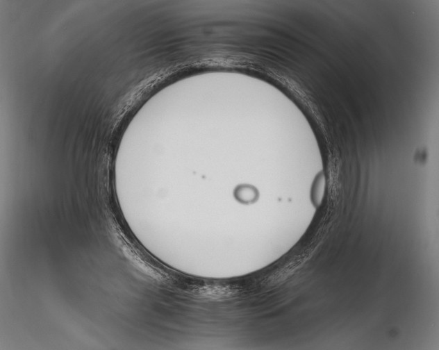 X0000115480445200912040956