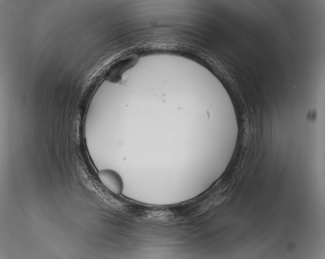 X0000115480446200912040956