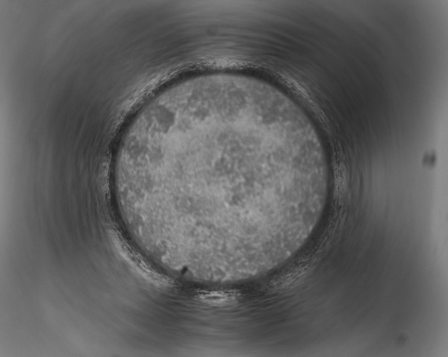 X0000115480447200912040956