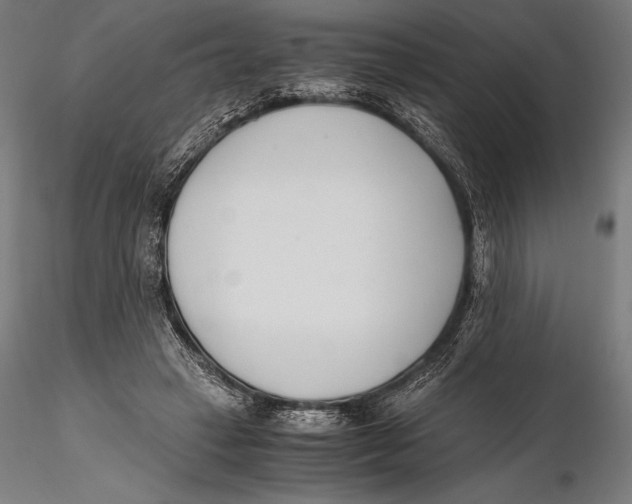 X0000115480449200912040956