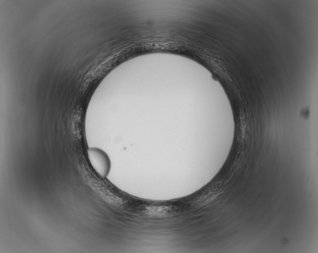 X0000115480450200912040956