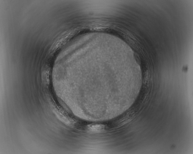 X0000115480452200912040956