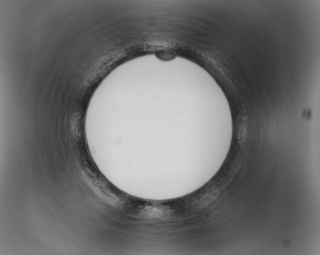 X0000115480455200912040956