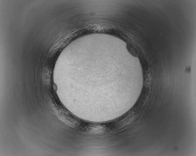 X0000115480456200912040957