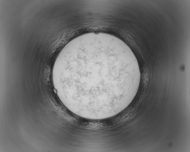 X0000115480458200912040957