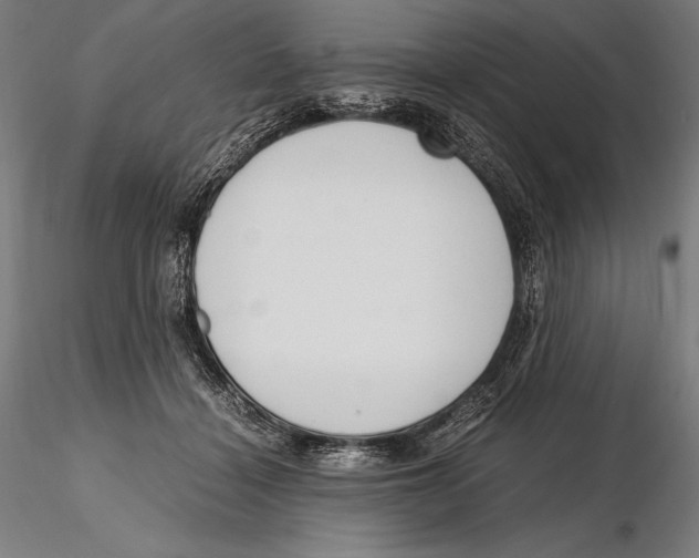 X0000115480460200912040957