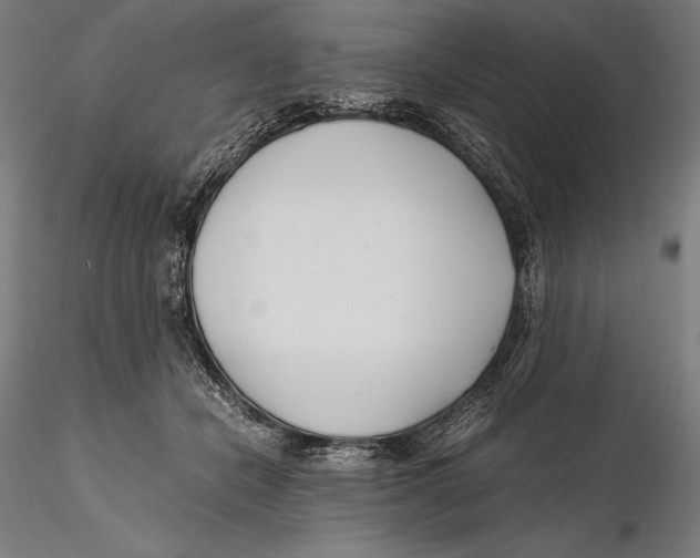 X0000115480462200912040957