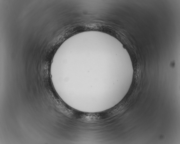 X0000115480466200912040957