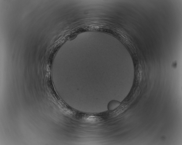X0000115480467200912040957
