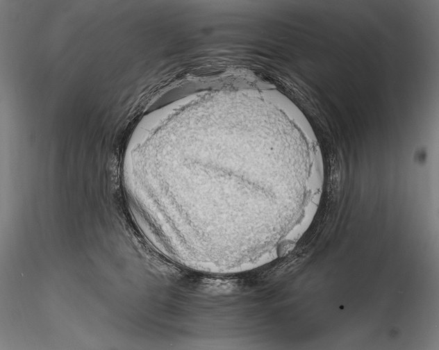 X0000115480469200912040957