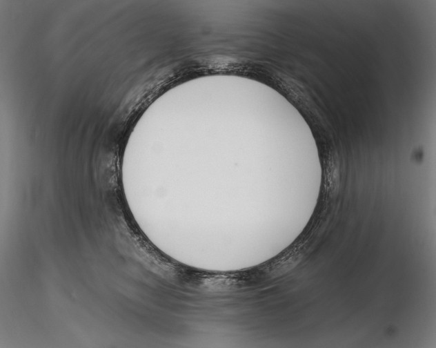 X0000115480470200912040957