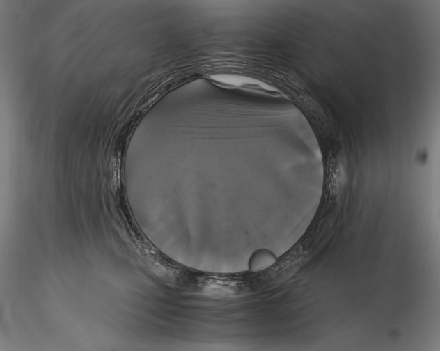 X0000115480471200912040957
