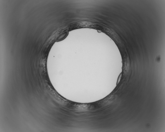 X0000115480473200912040957