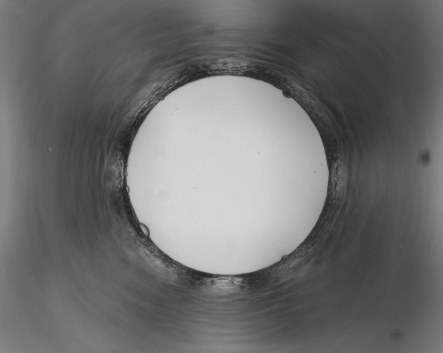 X0000115480474200912040957